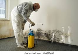 Professional Mold Removal & Remediation in Ransomville, NY